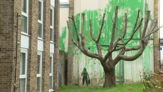 Fresh Banksy mural appears in north London  AFP [upl. by Gherlein]