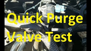 How To Test Evap Purge Valve is Good or Bad No Tools Needed [upl. by Halverson805]