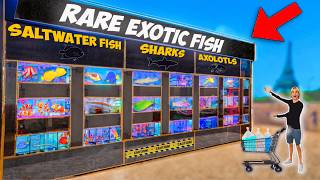 Buying FISH at EVERY Fish Store for My Giant Saltwater Pond [upl. by Jonah]