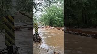 Davidson River  Pisgah Forest NC The day Hurricane Helene hit [upl. by Reisinger518]