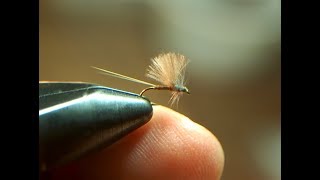 FLY TYINGBLUE WINGED OLIVE CDC MAYFLYTHE DEADLIEST FLIES [upl. by Cathyleen]