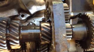 Countershaft play [upl. by Wendell590]