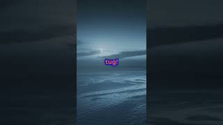 Why Do We Have Tides Discover the Moon’s Pull in 65 Seconds2 [upl. by Publus]