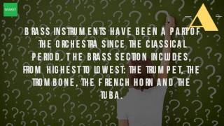 What Is The Largest And Lowest Pitched Brass Instrument [upl. by Novanod]