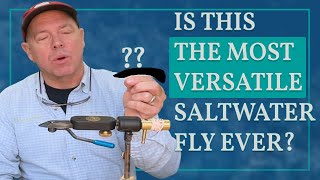 The MOST versatile saltwater fly [upl. by Wilinski]