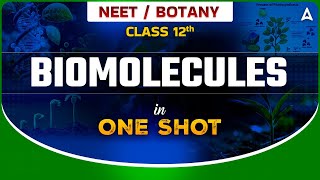 BIOMOLECULES IN ONE SHOT  NEET 2024  BIOLOGY BIOMOLECULES CLASS 12 ONE SHOT  SANKALP BHARAT [upl. by Carolyn]