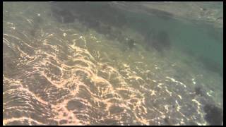 Action Sport Camera RC Boat underwater test [upl. by Karlis]