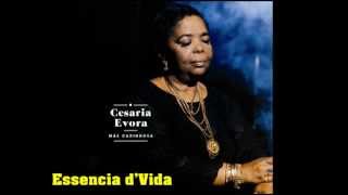 Cesaria Evora  07 Essencia dVida Mae Carinhosa 2013 [upl. by Yevol616]