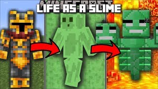 Minecraft LIFE AS A SLIME MOD  FIGHT AND SURVIVE THE PARKOUR RACE TO WIN AS A SLIME Minecraft [upl. by Kunkle]