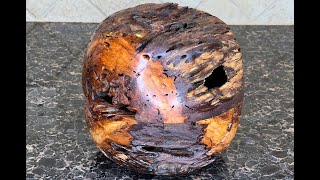 Carrotwood JackOLantern Hollow Form [upl. by Mandelbaum973]