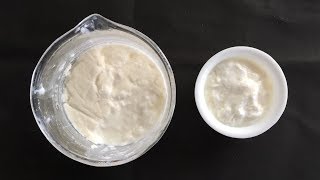 How to Prepare Curd from Lactobacillus Bacteria  Curd Preparation for Practical Purpose Only [upl. by Cai388]