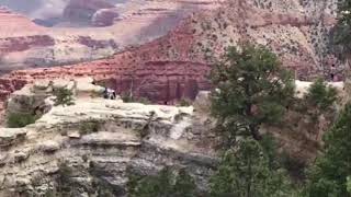 Onlookers scream as woman falls to her death at the Grand Canyon [upl. by Yeoj]