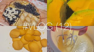 VLOG  12   martabak manis  cookies  o  aesthetic vlog  a day in my life  daily vlog  Nadia [upl. by Ynnub]