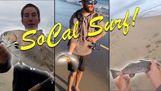 Croaker Trifecta  Surf Fishing California [upl. by Narih716]