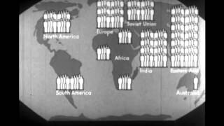 World Of Plenty  Isotype Animation [upl. by Changaris]