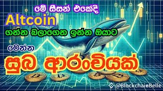 Altcoin ගන්න බලාගෙන ඉන්න ඔයාට මෙන්න සුබ ම සුබ ආරංචියක් [upl. by Tupler831]