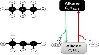 Conversions between alkanes and alkenes [upl. by Joleen183]