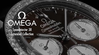 Fisrt Look at the Omega Speedmaster 38 Extended Collection [upl. by Gary]