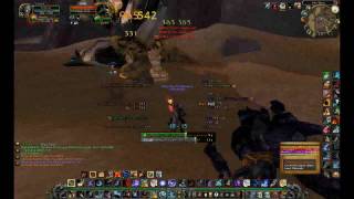 Ahn Qiraj Hunter Solo Mount Guide  World of Warcraft Hunter [upl. by Gnok90]