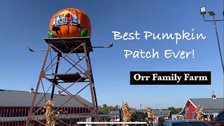 Our Favorite Pumpkin Patch  Historical version  Oklahoma [upl. by Talmud]