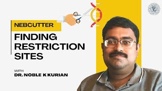 Tool to find map Restriction Enzyme cutting sites in DNA NEBCUTTER BI Tutorial by Dr Noble Kurian [upl. by Hafirahs]