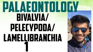 palaeontology lecture series bivalvia pelecyopoda lamellibranchia part12 [upl. by Madalyn]