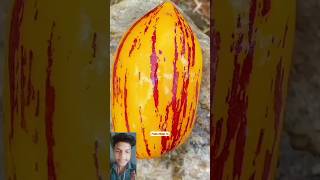 Trending fruits p 91 Enjay beautiful Nature life shorts youtubeshorts fruits village10trending [upl. by Shishko]