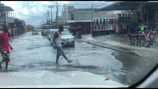 CaimanAlligator in flooded street in Aranguez [upl. by Idnas]