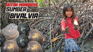 Menangkap Berbagai Jenis Kerang Bivalvia dan Kepiting di Hutan Mangrove [upl. by Hsac]