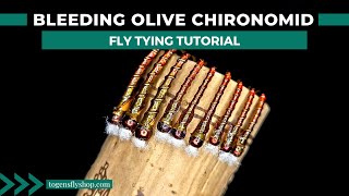 Bleeding Olive Chironomid  Fly Tying Tutorial [upl. by Gaylor599]