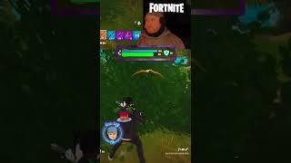 BUSH SNIPE 🔥😱🔥  FORTNITE [upl. by Naghem]