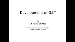 Development of midgut and hindgut [upl. by Airlie853]