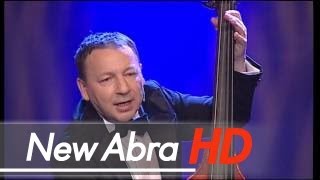 Zbigniew Zamachowski amp Grupa MoCarta  Bal u Grubego Jośka DVD [upl. by Inohs]