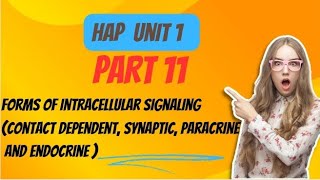 Forms of intracellular signaling contact dependent paracrine synaptic amp endocrine Part 11 [upl. by Lilla]