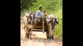 Arif Lohar  Sacha Rishta Maawan Da [upl. by Forras]