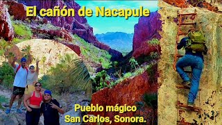 El cañón de Nacapule en San Carlos Sonorasonoranorte [upl. by Hak]