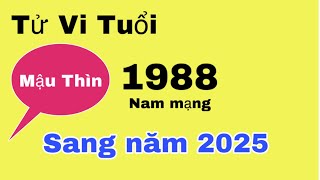 Tử vi tuổi Mậu Thìn 1988 nam mạng sang năm 2025 công việc  tiền bạc  gia đạo sẽ ra sao [upl. by Fauman]