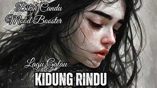 KIDUNG RINDU 🎵 KISAH CINTA LDR YANG BIKIN NYESEK  LIRIK [upl. by Emelina317]