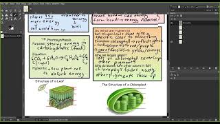 Biology  Module 5  Class Notes p 12 [upl. by Nylegna]