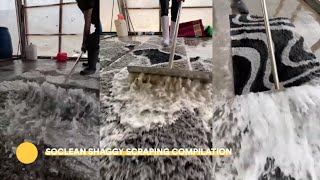 SHAGGY Scraping Compilation  Satisfying Carpet Cleaning  SoCleanAladdin [upl. by Anirpas]