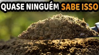 Como Curtir Esterco de Gado na Água  10 Dias apenas Muito Rápido [upl. by Ydoow]