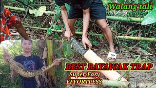 How to Make Super Easy and Effortless Bayawak Trap  Effective Bayawak Trap  Sobrang Laki Ng Nahuli [upl. by Eenwat706]