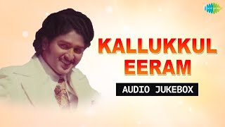 Kallukkul Eeram  Album  Siruponmani  SPB  Malaysia Vasudevan  Gangai Amaran  Ilaiyaraaja [upl. by Rebmaed]