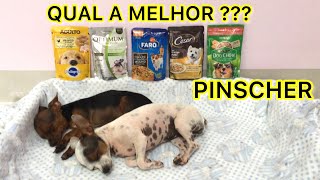 QUAL A MELHOR RAÇÃO ÚMIDA PARA CACHORRO  PINSCHER FILHOTES [upl. by Anastasie]