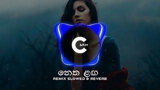 Netha laga daga karana Remix Slowed amp Reverb Rana Monariya paradana  C Mix [upl. by Auqinimod]