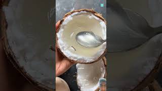 Fact about coconut streetfood food foodie coconut amazingfacts new trending dastan latest [upl. by Kape]