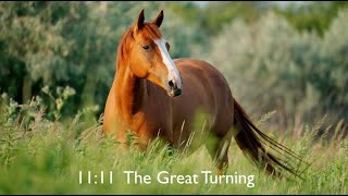 1111 The Great Turning [upl. by Medorra]