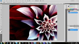 Photoshop  Fractalius PlugIn [upl. by Rayford19]