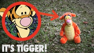 I FOUND TIGGER IN REAL LIFE Winnie The Poohs Missing [upl. by Oizirbaf]