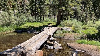 JMT 2024  Day 6 Part 3  Giant Log Bridge Creek Crossing Time [upl. by Zil572]